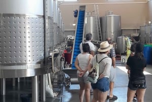From Albufeira: Private Lagos Tour Whith Wine Tasting