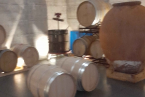 From Albufeira: Private Lagos Tour Whith Wine Tasting