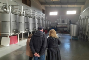 From Albufeira: Private Silves Castle Tour Whith Wine Taste