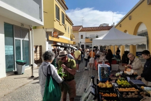 From Albufeira: Private Silves Castle Tour Whith Wine Taste
