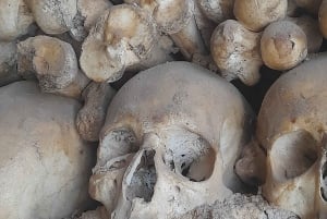 Prywatna wycieczka do zamku Silves z degustacją wina Algarvian