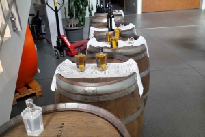 Prywatna wycieczka do zamku Silves z degustacją wina Algarvian