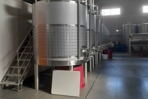 Prywatna wycieczka do zamku Silves z degustacją wina Algarvian