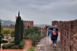 Fra Albufeira: Privat tur til Silves Slot og Monchique