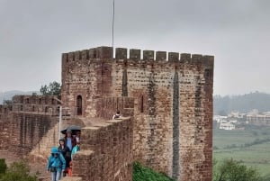 Z Albufeiry: prywatna wycieczka do zamku Silves i Monchique