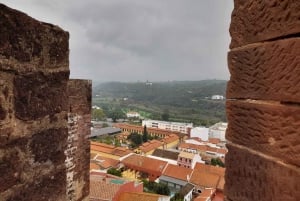 Fra Albufeira: Privat tur til Silves Slot og Monchique