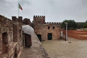 Vanuit Albufeira: privétour naar het kasteel van Silves en Monchique