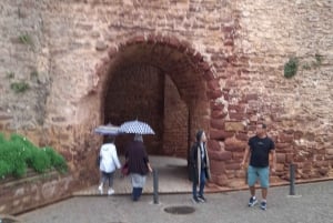 Från Albufeira: Privat tur till Silves slott och Monchique