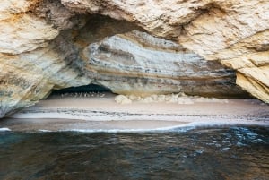 From Albufeira: Sunset Cruise and Beach BBQ with Open Bar