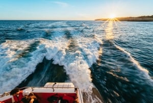 From Albufeira: Sunset Cruise and Beach BBQ with Open Bar