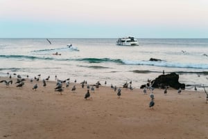 From Albufeira: Sunset Cruise and Beach BBQ with Open Bar