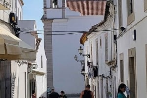 From Albufeira: Tour to Lagos, Sagres, Silves, & Monchique