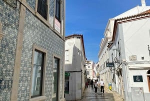 From Albufeira: Tour to Lagos, Sagres, Silves, & Monchique