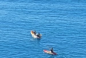 From Benagil: Benagil Caves Kayak Tour