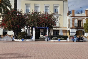 From Algarve: Private Ayamonte Van Tour