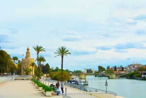 Depuis l'Algarve : Excursion privée d'une journée à Séville avec transfert