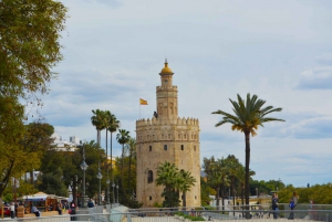 From Algarve: Private Seville Day Trip with Transfer