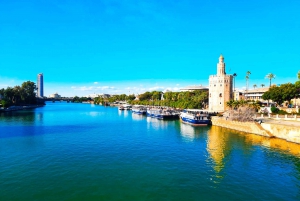 Depuis l'Algarve : Excursion privée d'une journée à Séville avec transfert