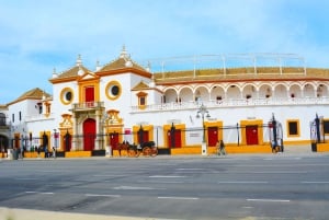 From Algarve: Private Seville Day Trip with Transfer