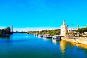 From Algarve: Private Seville Day Trip with Transfer