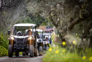From Almancil: Quad Tour in Algarve Countryside