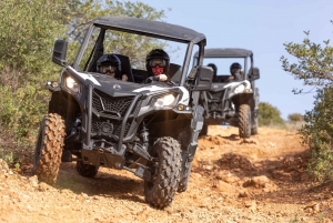 From Almancil: Quad Tour in Algarve Countryside