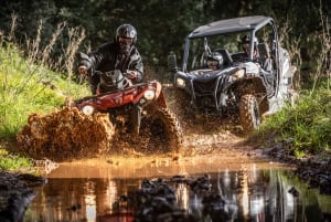 From Almancil: Quad Tour in Algarve Countryside