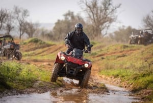 From Almancil: Quad Tour in Algarve Countryside