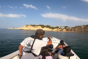 From Armação de Pêra: Benagil Caves and Beaches Boat Tour