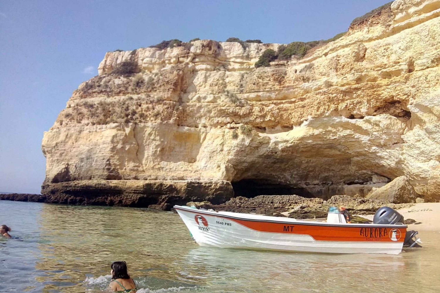 Depuis Armação de Pêra : excursion en bateau sur les plages privées et les grottes