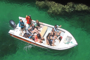 From Armação de Pêra: Private Benagil Beaches Boat Tour