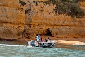 アルマサン・デ・ペラ発：ベナギル洞窟へのサンセットボートツアー