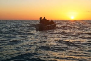 アルマサン・デ・ペラ発：ベナギル洞窟へのサンセットボートツアー