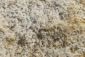 Z Benagil: Wycieczka kajakowa do jaskiń Benagil