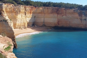 From Benagil: Paddle Board Rental