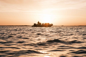 Van boot naar tafel: Zonsondergang en proeverij van Ria Formosa