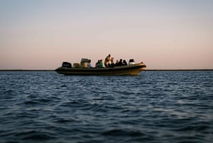 Van boot naar tafel: Zonsondergang en proeverij van Ria Formosa
