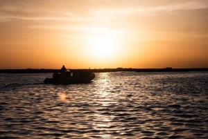 Van boot naar tafel: Zonsondergang en proeverij van Ria Formosa