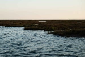 Van boot naar tafel: Zonsondergang en proeverij van Ria Formosa