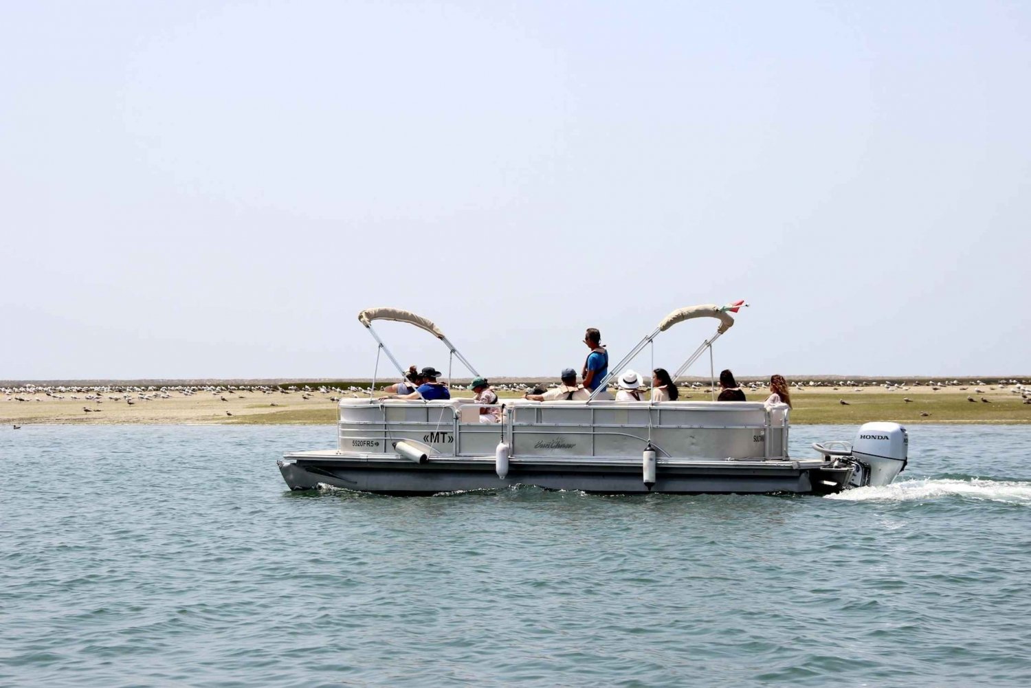 Fra Faro: 2 timers guidet bådtur med fugleobservation