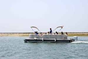 De Faro: Passeio de barco guiado de 2 horas para observação de aves