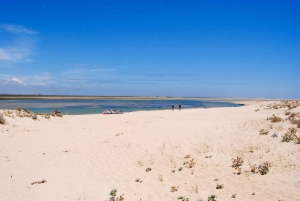 From Faro: 2-Hour Guided Bird Watching Boat Trip