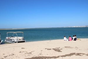 De Faro: Passeio de barco guiado de 2 horas para observação de aves