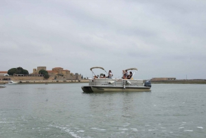 De Faro: Passeio de barco guiado de 2 horas para observação de aves