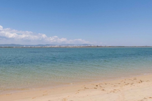 From Faro: 2-Hour Guided Bird Watching Boat Trip