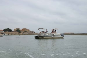From Faro: 2-Hour Guided Bird Watching Boat Trip