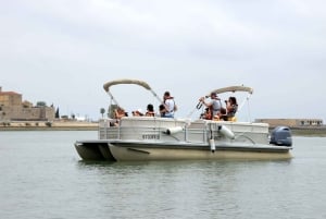 From Faro: 2-Hour Guided Bird Watching Boat Trip