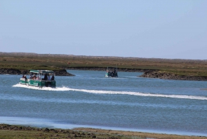 From Faro: 2-Island, 2-Stop Ria Formosa Catamaran Tour