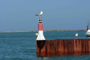 From Faro: 2-Island, 2-Stop Ria Formosa Catamaran Tour