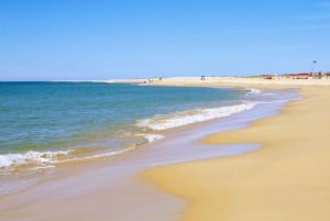 Au départ de Faro : Circuit en catamaran sur 2 îles et 2 arrêts à la Ria Formosa